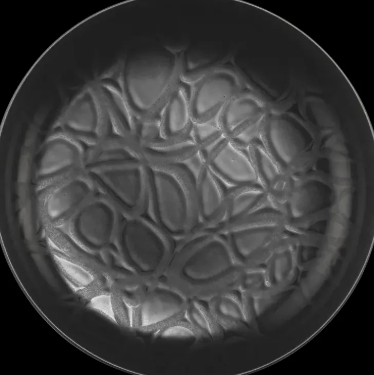 House Syva Lautanen Capri 20 Cm