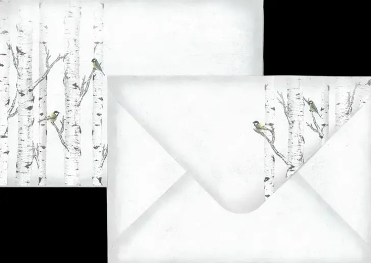 J.K. Primeco C6 Kirjekuori Koivu 10Kpl/Pkt