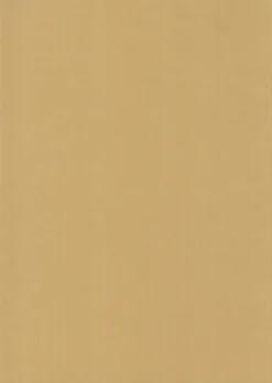 Karto Kartonki Beige 50X70Cm 220Gsm 5Ark/Pss