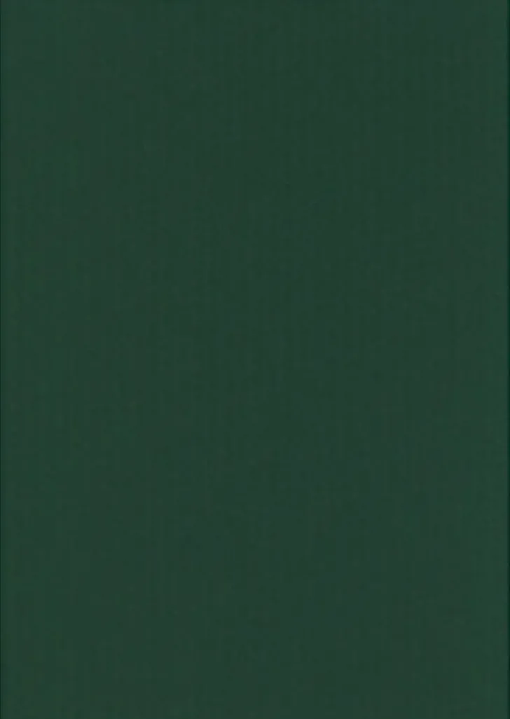 Karto Kartonki Joulunvihrea 50X70Cm 220Gsm 5Ark/Pss