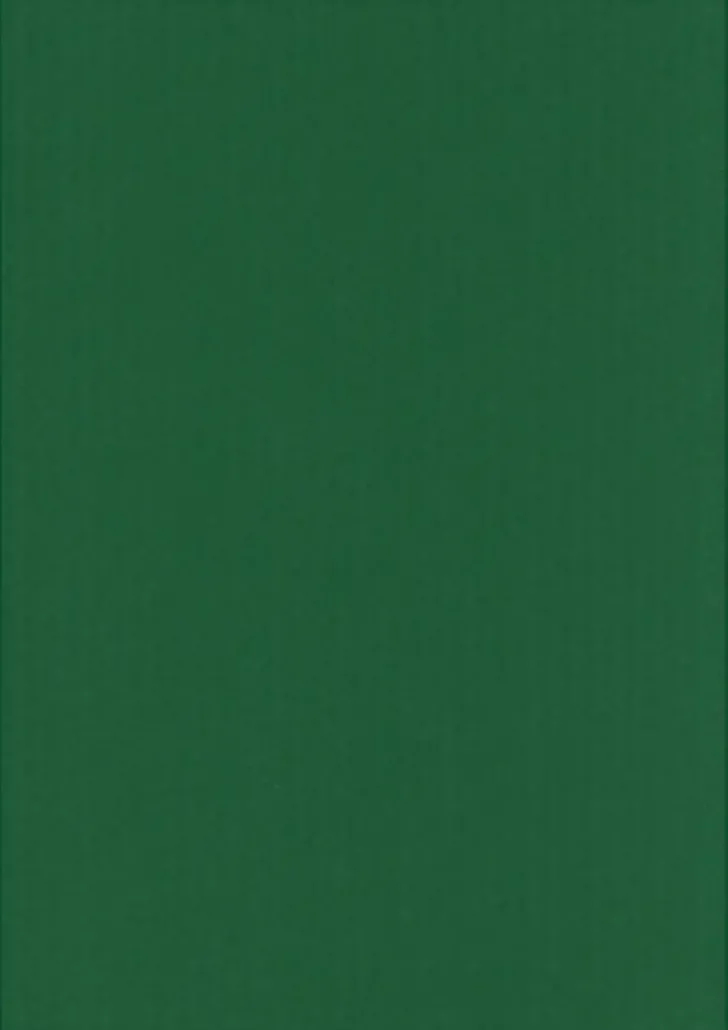 Karto Kartonki Ruohon Vihrea 50X70Cm 220Gsm 5Ark/Pss