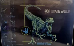 Kirjoitusalusta 40 X 60 Cm