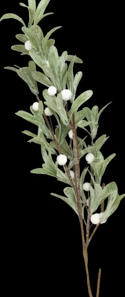 Koristeoksa Lehdet Lyhyt