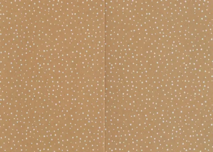 2-Osainen Uusiokorttipohja Piste 10Kpl/Pkt