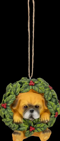 Roikkuva Koristekoira, Erilaisia